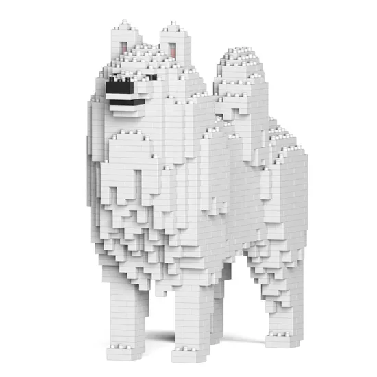 Samojed 01